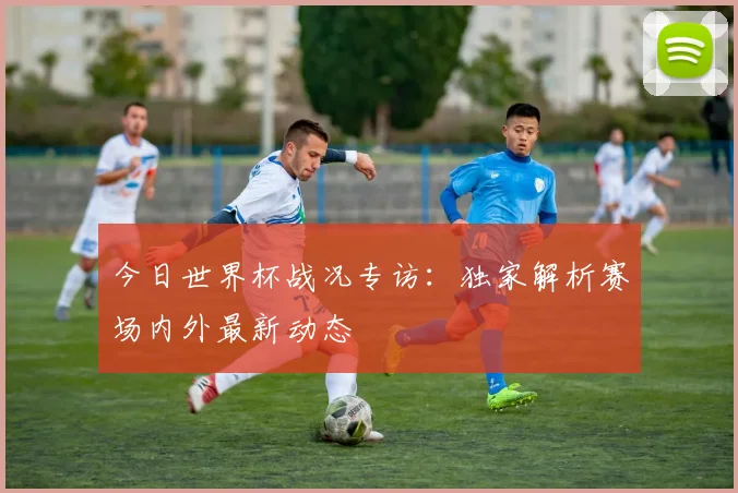 今日世界杯战况专访:独家解析赛场内外最新动态